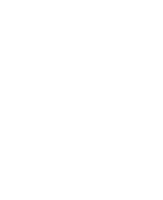 拟城